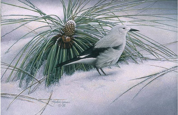 Stephan Lyman Limited Edition Artist Proof Canvas:"Handsome"