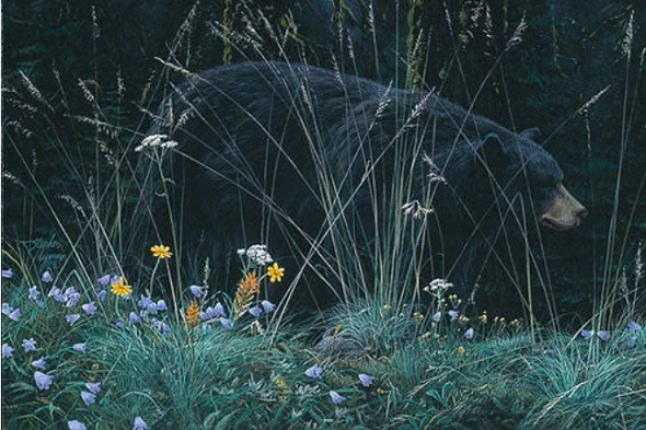 Stephan Lyman Limited Edition Artist Proof Canvas:"Bear & Blossoms"