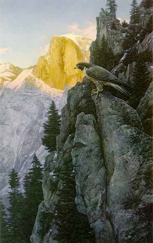 Stephan Lyman Limited Edition Artist Proof Print:"Return of The Falcon" Stephan Lyman Limited Edition Artist Proof Print:"Return of The Falcon"