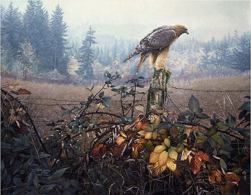 Stephan Lyman Anniversary Limited Edition Artist Proof Canvas:"The Raptor's Watch"