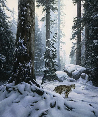 Stephan Lyman Limited Edition Artist Proof Print:"Snow Hunter"