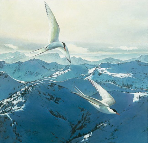 Stephan Lyman Limited Edition Artist Proof Print:"Free Flight"