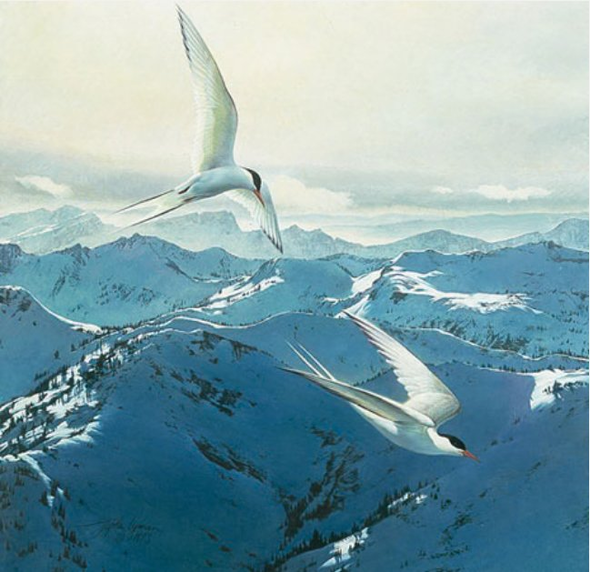 Stephan Lyman Limited Edition Artist Proof Print:"Free Flight"