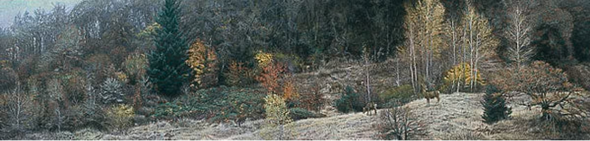 Stephan Lyman Limited Edition Artist Proof Print:"Autumn Gathering"