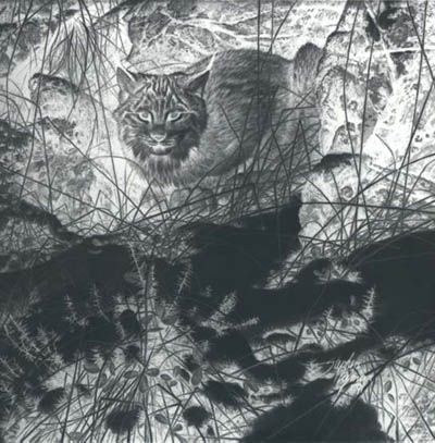 STEPHEN E LYMAN 15X15 Secondary Market Art: "SECRET WATCH"