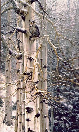 STEPHEN E LYMAN 15X24 Secondary Market Art: "SENTINEL OF GROVE"