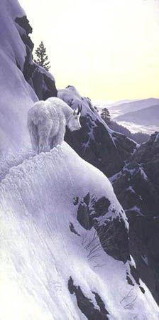 STEPHEN E LYMAN 16X31 Secondary Market Art: "HIGH TRAIL SUNSET"