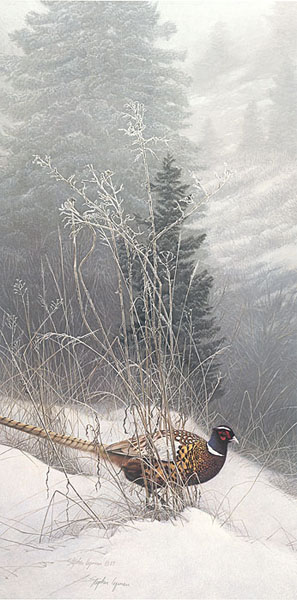 STEPHEN E LYMAN 18X24 Secondary Market Art: "COLOR IN THE SNOW"