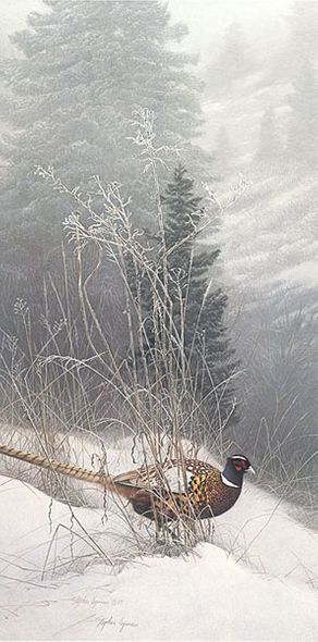 STEPHEN E LYMAN 18X24 Secondary Market Art: "COLOR IN THE SNOW"