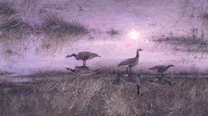STEPHEN E LYMAN 26X16 Secondary Market Art: "MOON SHADOWS"