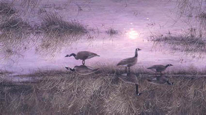STEPHEN E LYMAN 26X16 Secondary Market Art: "MOON SHADOWS"