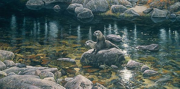 STEPHEN E LYMAN 33X18 Secondary Market Art: "NEW KID ON THE ROCK"