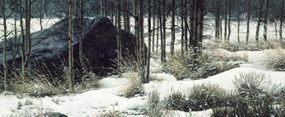 STEPHEN E LYMAN 37X17 Secondary Market Art: "WINTER SHADOWS"
