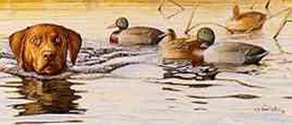 Stephen Hamrick Limited Edition Print: "Accept No Invitations"