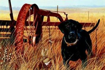 Stephen Hamrick Limited Edition Print: "Working Hard"