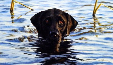 Stephen Hamrick Print-Signed:"Basic Instincts"