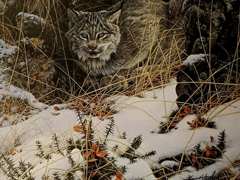 Stephen Lyman Signed and Numbered Limited Edition Lithograph: "Secret Watch"