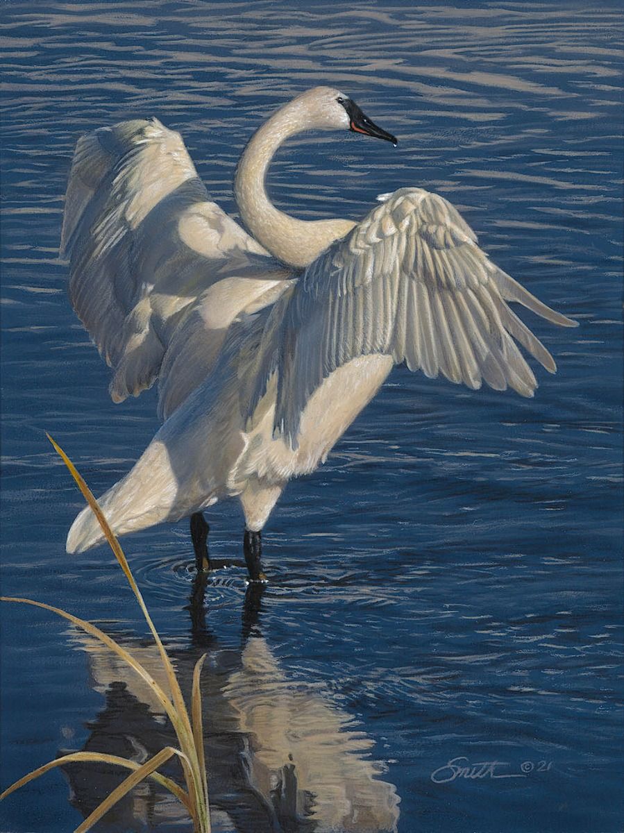 Daniel Smith Limited Edition Artist Signed Canvas Giclee:"Graceful Display"