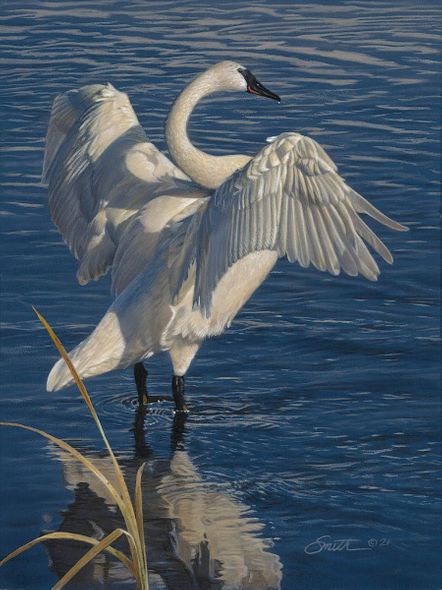 Daniel Smith Limited Edition Artist Signed Canvas Giclee:"Graceful Display"