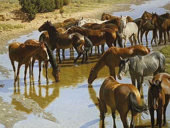 Tucker Smith Limited Edition Print on Paper:"Shallow Water"