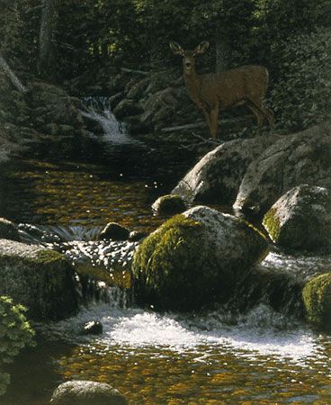 Tucker Smith Limited Edition Print on Paper:"McClellan Creek"