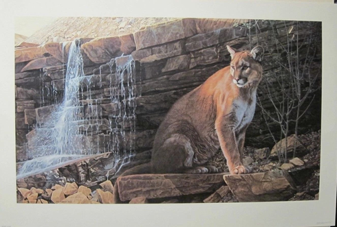 Steve Hanks Lithograph: ""