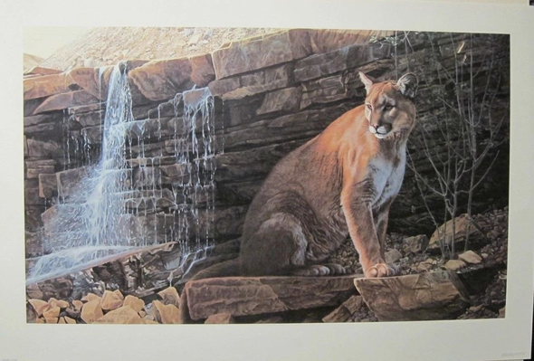 Steve Hanks Lithograph: ""