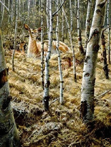 Steve Hanks Signed and Numbered Limited Edition Lithograph: ""