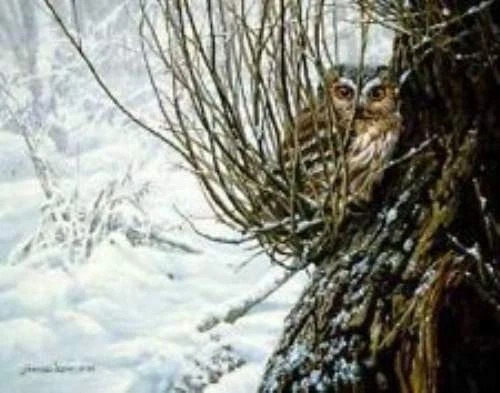 Steve Hanks Signed and Numbered Limited Edition Lithograph: ""