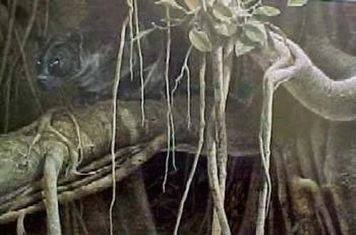 Steve Hanks Signed and Numbered Limited Edition Lithograph: ""