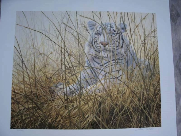 Steve Hanks Signed and Numbered Limited Edition Lithograph: ""