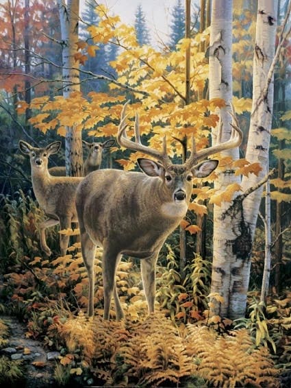 Steve Hanks Signed and Numbered Limited Edition Lithograph: ""