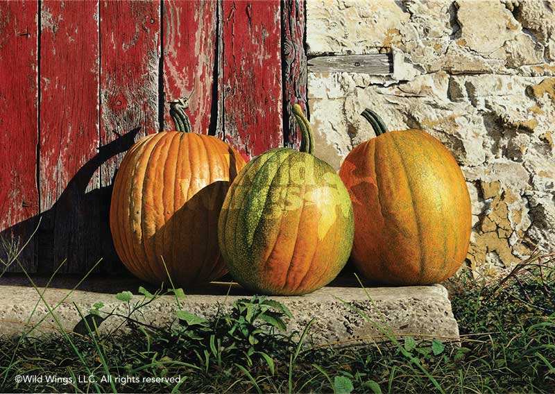 Steven R. Kozar Open Edition Framed Print: "Ripening Pumpkins Art Print"