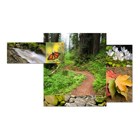 Studio EL Collection Limited Edition Ready to Hang Giclee on Acrylic Aluminum and Canvas: "Zen Landscape I"