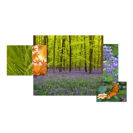 Studio EL Collection Limited Edition Ready to Hang Giclee on Acrylic Aluminum and Canvas: "Zen Landscape II"