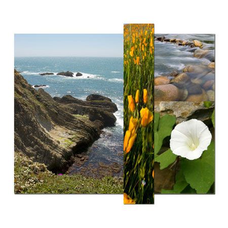 Studio EL Collection Limited Edition Ready to Hang Giclee on Acrylic Bamboo and Canvas: "Zen Landscape IV"