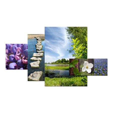 Studio EL Collection Limited Edition Ready to Hang Giclee on Aluminum and Canvas: "Zen Landscape IV"