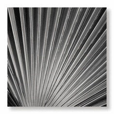 Gallerydirectart