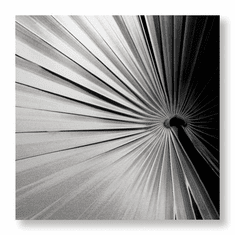 Gallerydirectart
