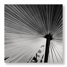 Gallerydirectart