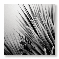 Gallerydirectart