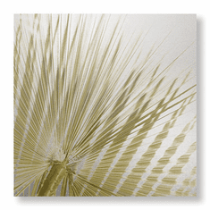 Gallerydirectart