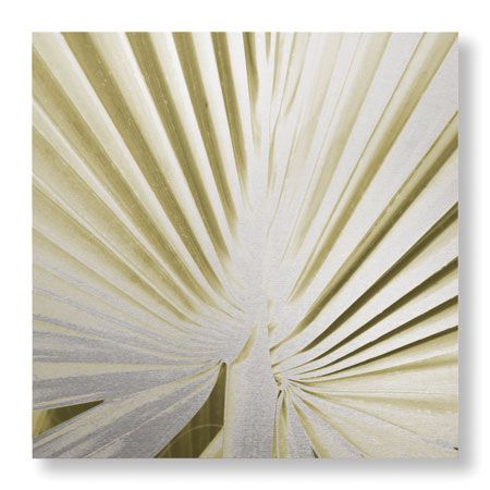 Studio EL Collection Limited Edition Ready to Hang Giclee on Brushed Aluminum: "Palm Study III"