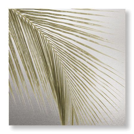 Studio EL Collection Limited Edition Ready to Hang Giclee on Brushed Aluminum: "Palm Study VIII"