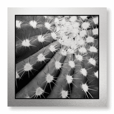 Gallerydirectart