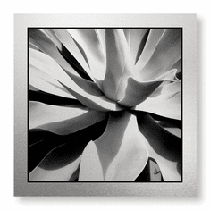 Gallerydirectart
