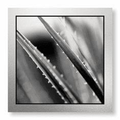 Gallerydirectart