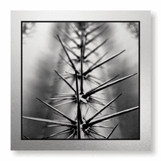 Gallerydirectart