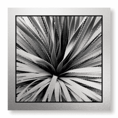 Gallerydirectart