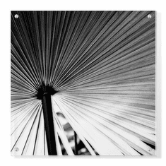 Gallerydirectart